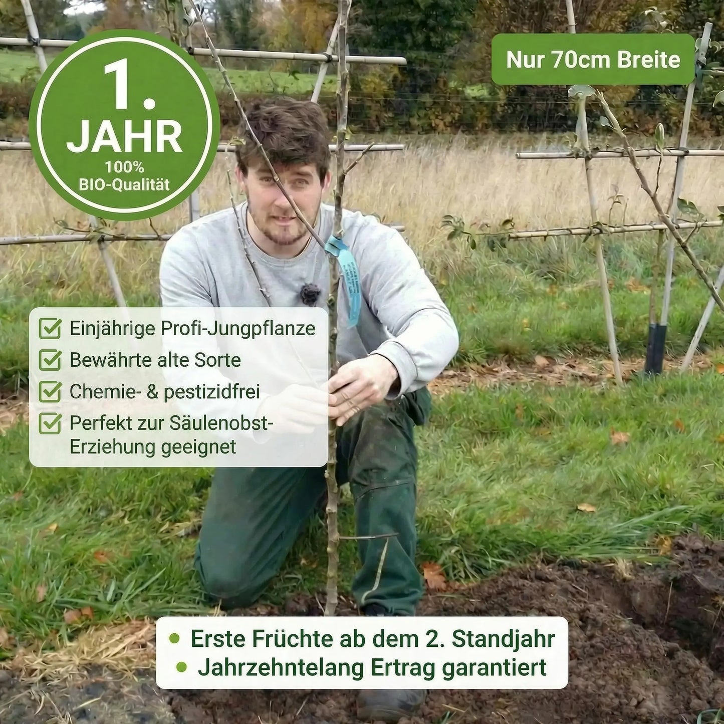 Säulenobst XXL Selbstversorger Set