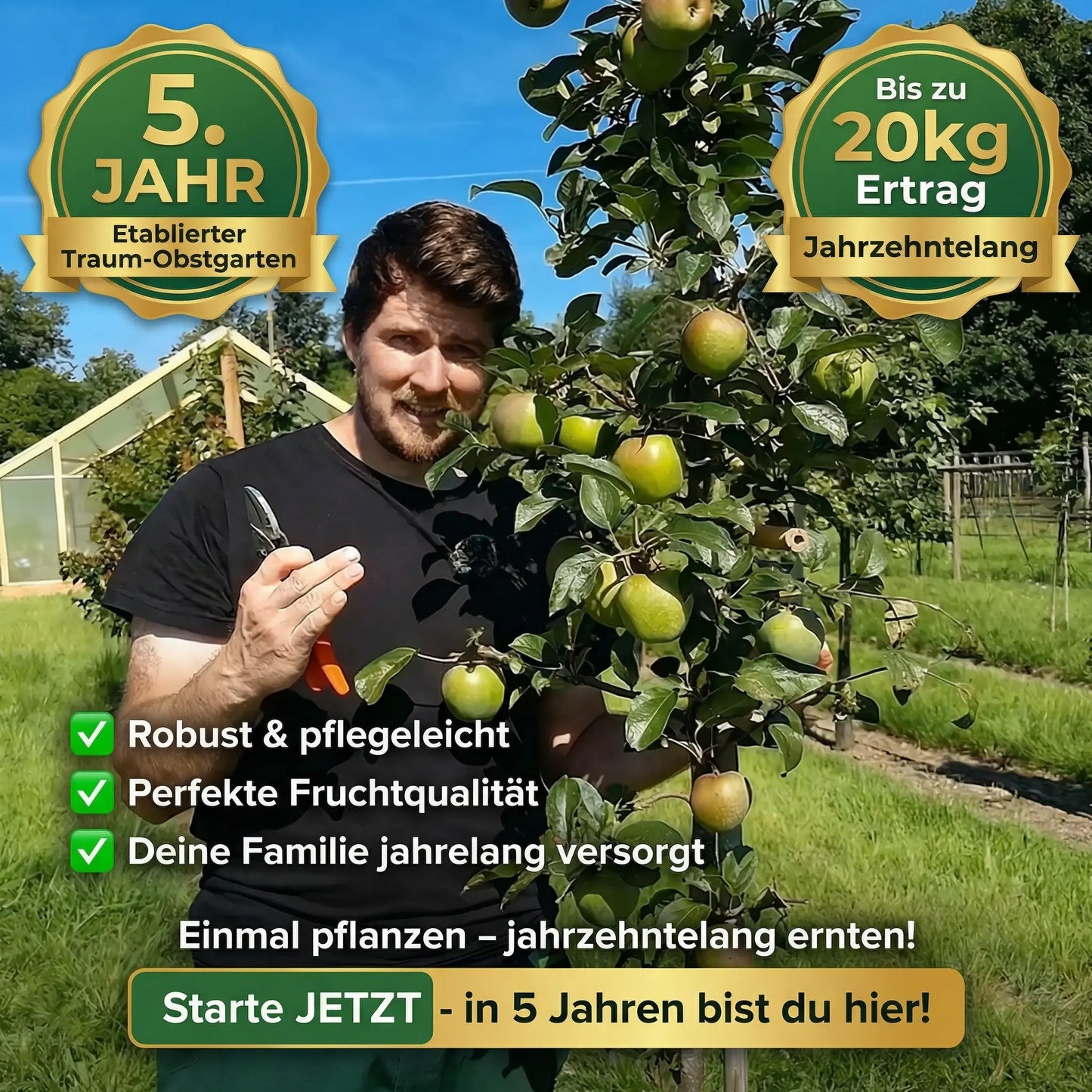 Säulenobst Starter Set