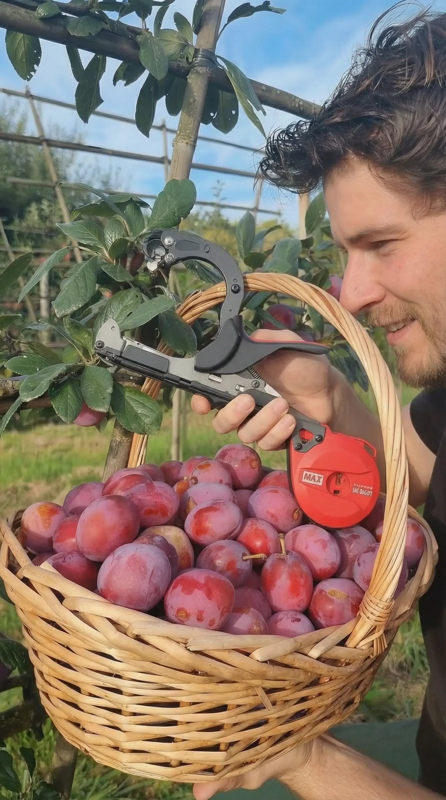 Meine Spalierobst-Heftzange - inklusive MaxTape + Klammern