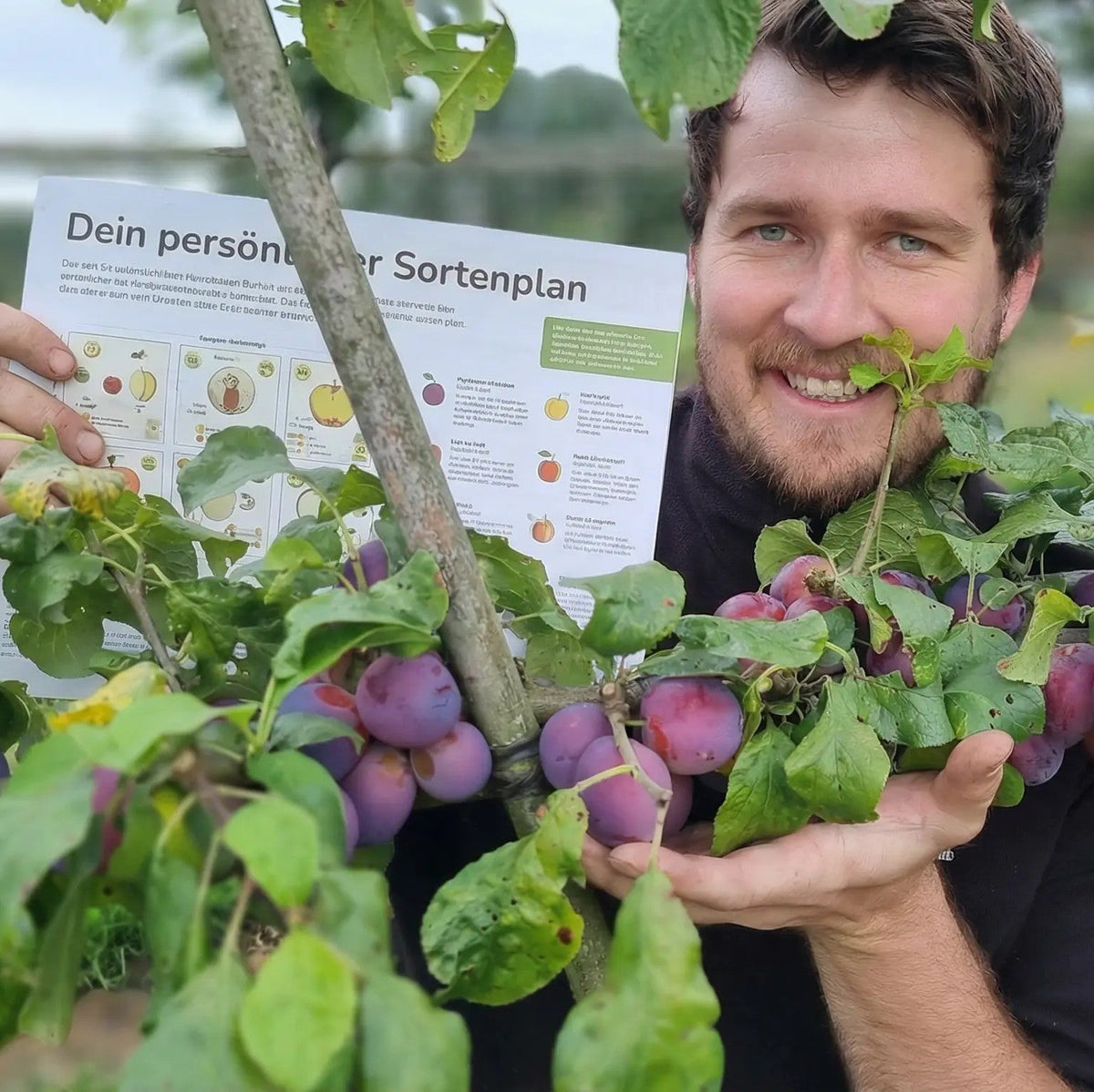 Sortenplan-Bild-pdp